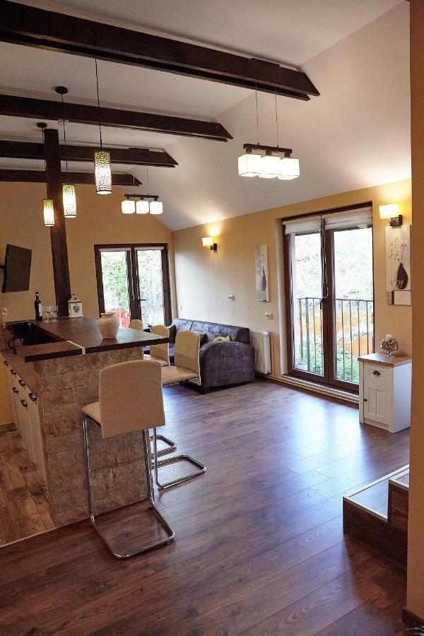 Apartament Rozelor Μπρασόβ Εξωτερικό φωτογραφία